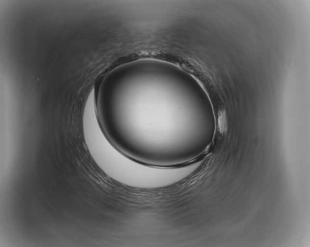 X0000116351444200912091120