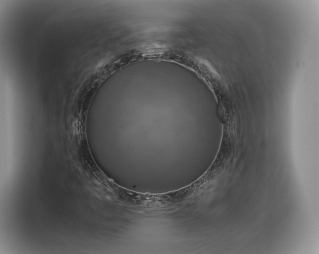 X0000116351445200912091120