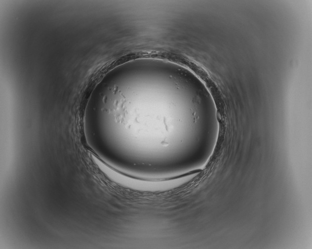 X0000116351447200912091120