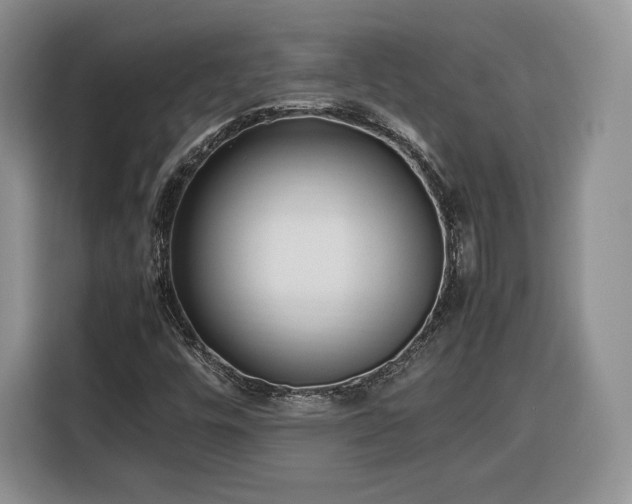 X0000116351448200912091120