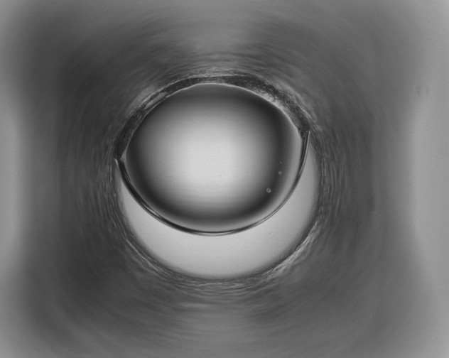 X0000116351449200912091120