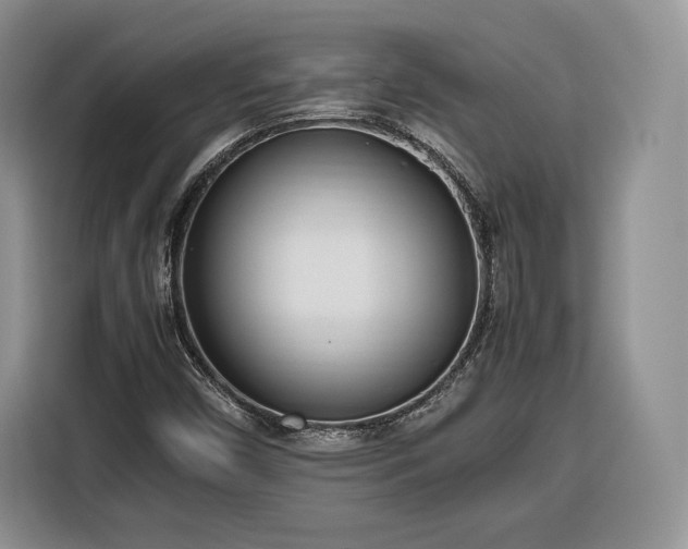 X0000116351450200912091120