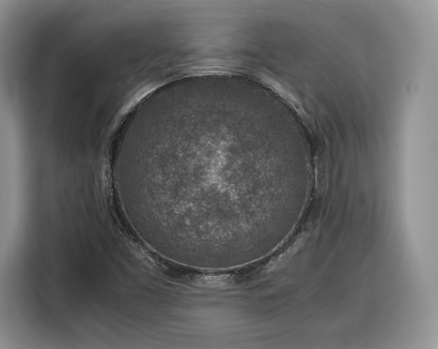 X0000116351453200912091120