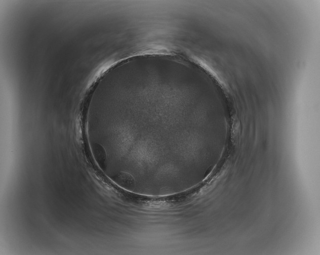 X0000116351455200912091120