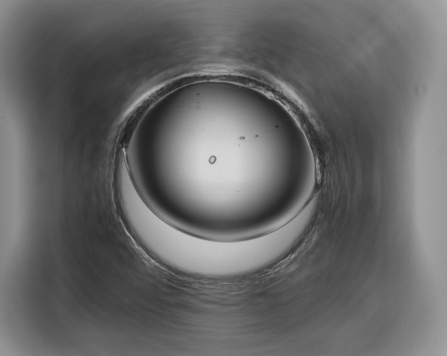 X0000116351456200912091120