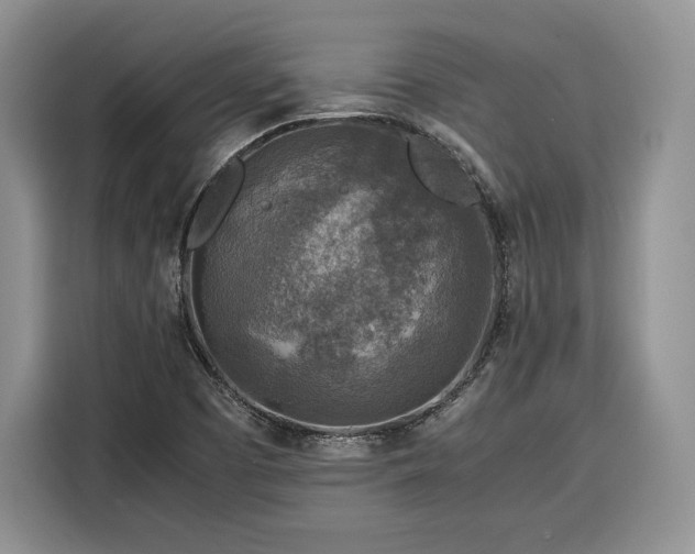 X0000116351457200912091120