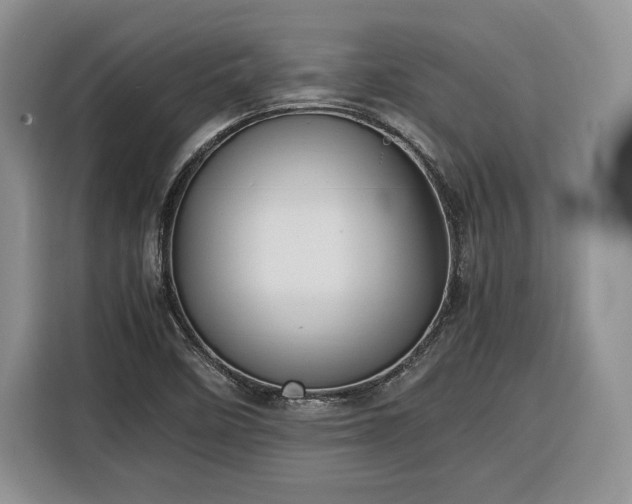 X0000116351458200912091120