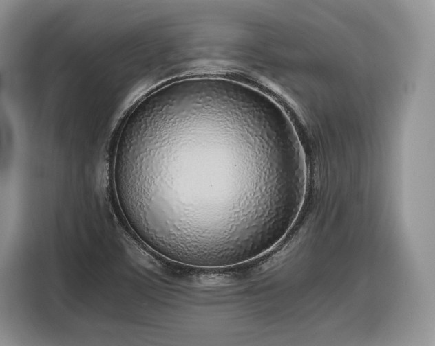 X0000116351459200912091120