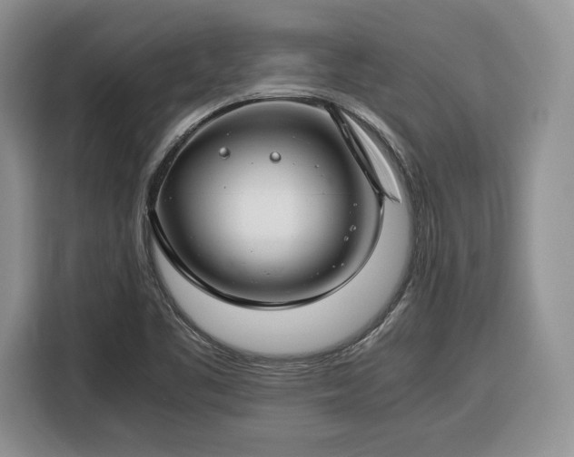 X0000116351461200912091120