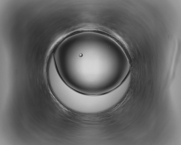 X0000116351464200912091120