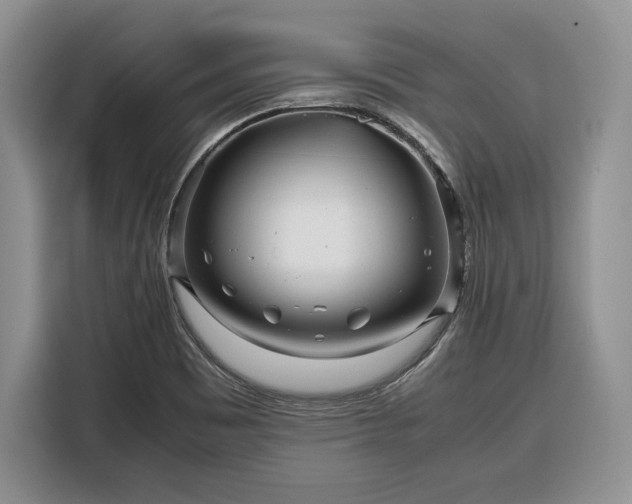 X0000116351465200912091120