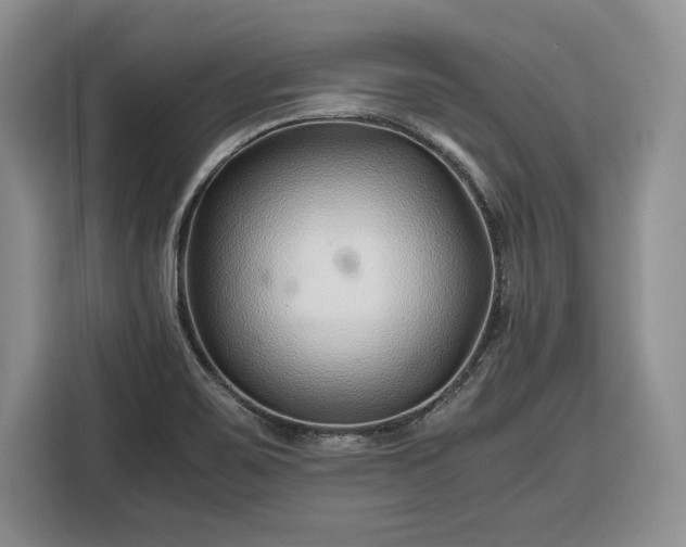 X0000116351467200912091120