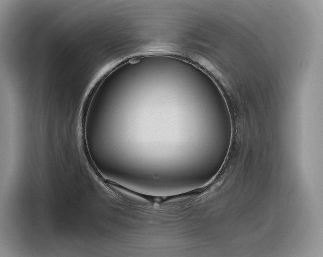 X0000116351469200912091120