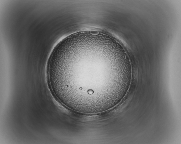 X0000116351471200912091120