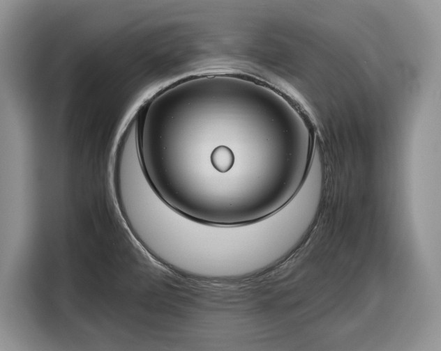 X0000116351472200912091120