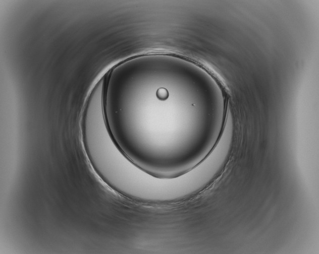 X0000116351476200912091120