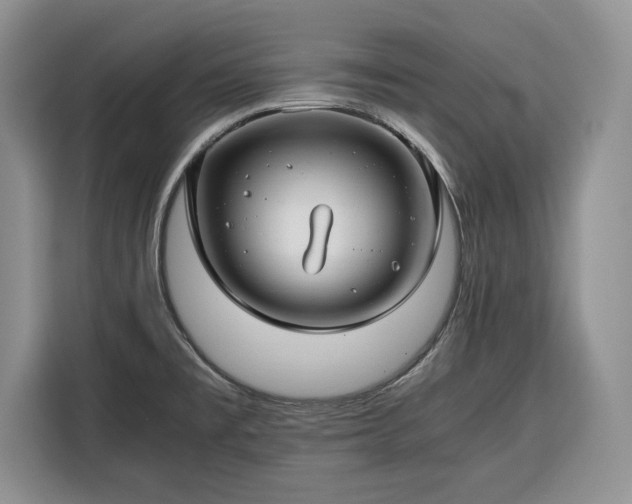 X0000116351477200912091120