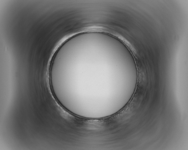 X0000116351478200912091120