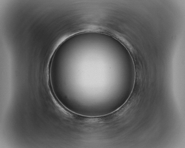 X0000116351479200912091120