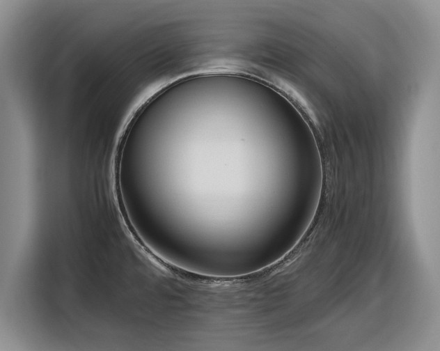 X0000116351480200912091120