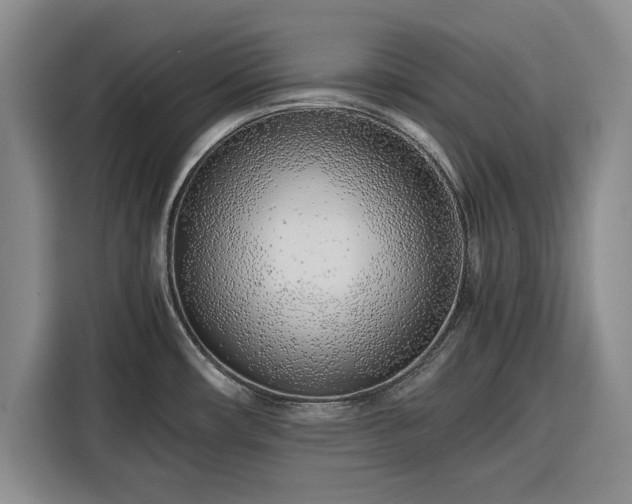 X0000116351482200912091120