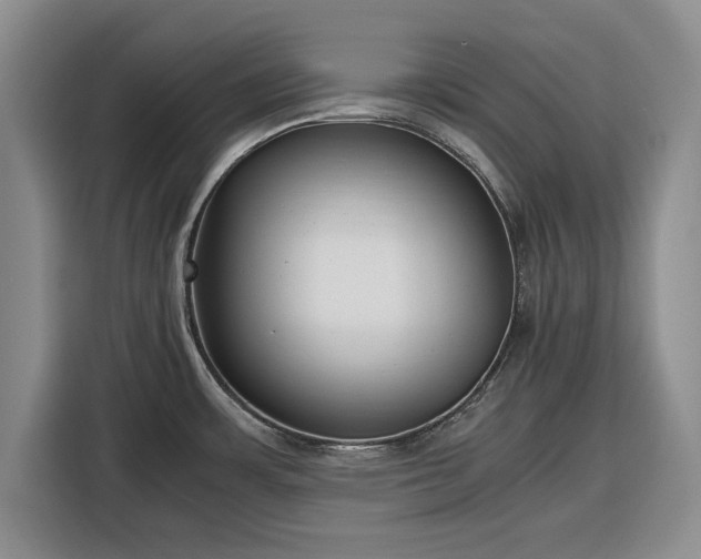 X0000116351483200912091120