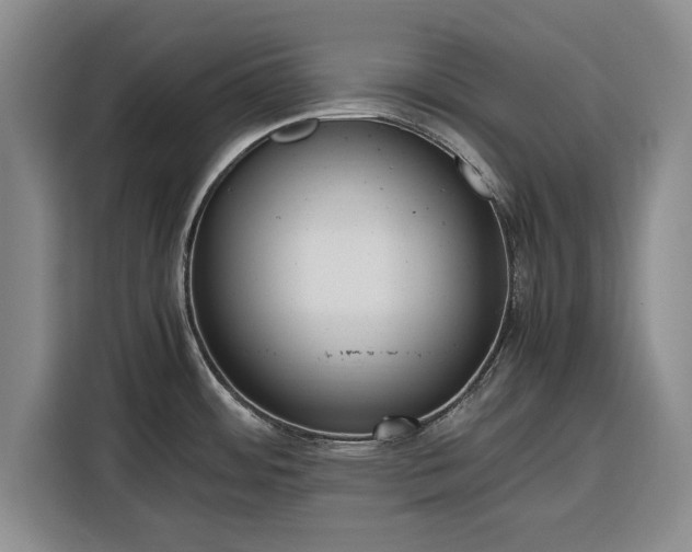 X0000116351484200912091120