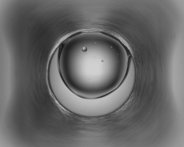 X0000116351485200912091120