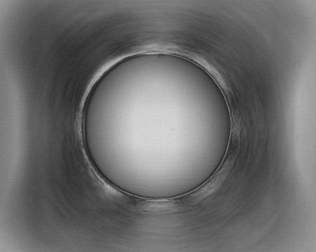 X0000116351486200912091120