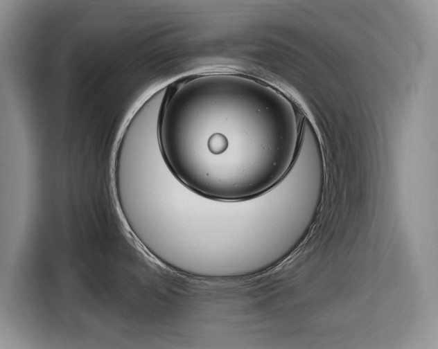 X0000116351488200912091120