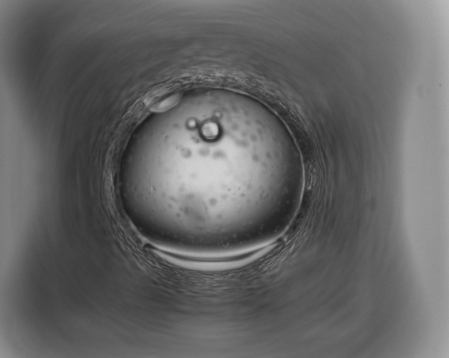 X0000116351489200912091119