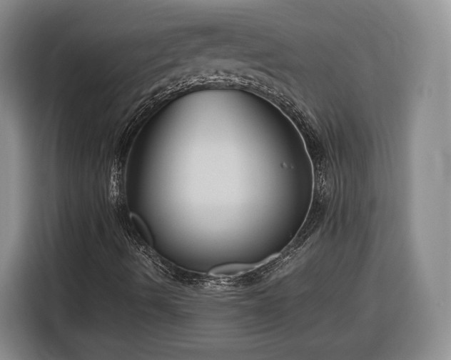 X0000116351490200912091119