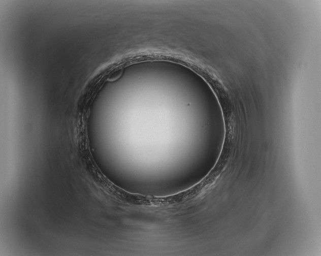 X0000116351494200912091119