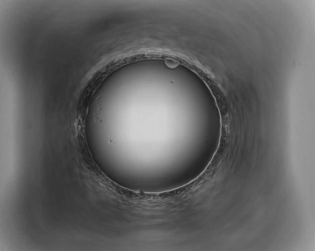 X0000116351495200912091119