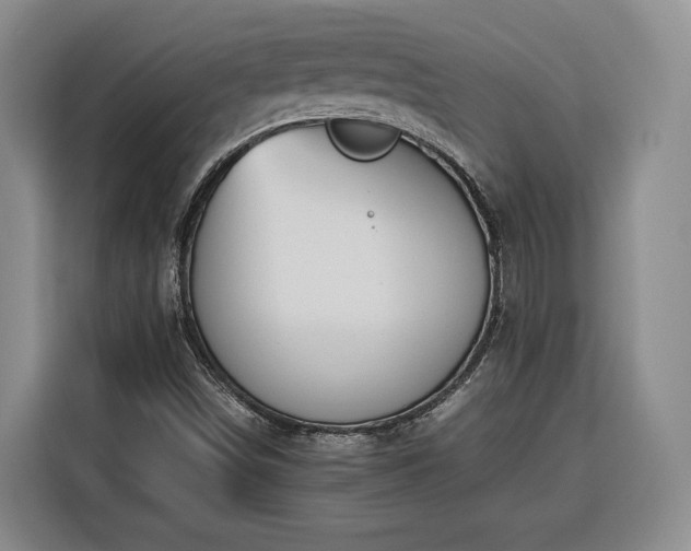 X0000116351498200912091119