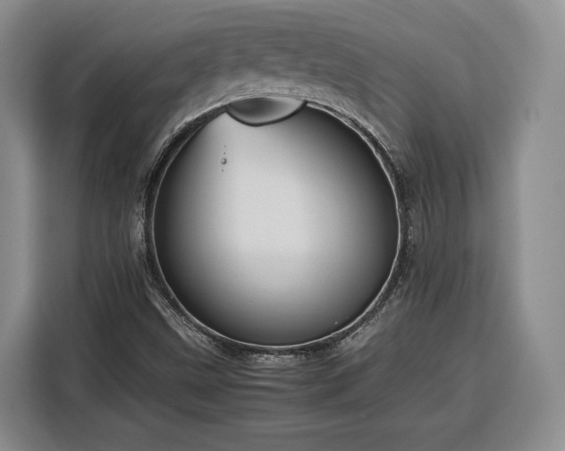 X0000116351499200912091119