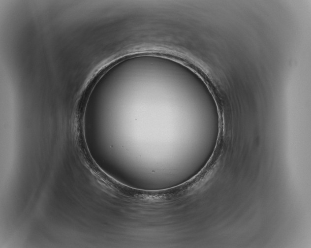 X0000116351501200912091119