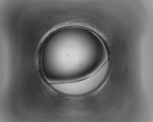 X0000116351502200912091119