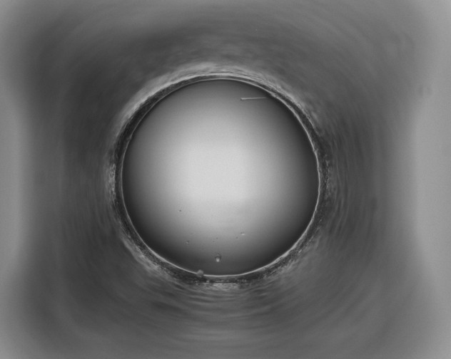 X0000116351503200912091119