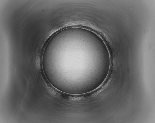 X0000116351505200912091119