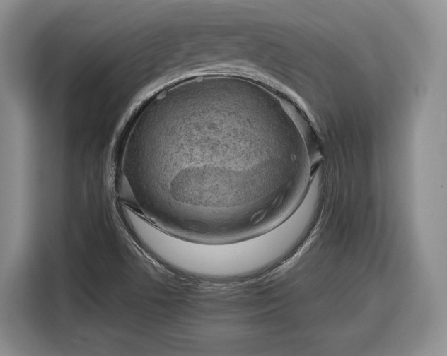 X0000116351506200912091119