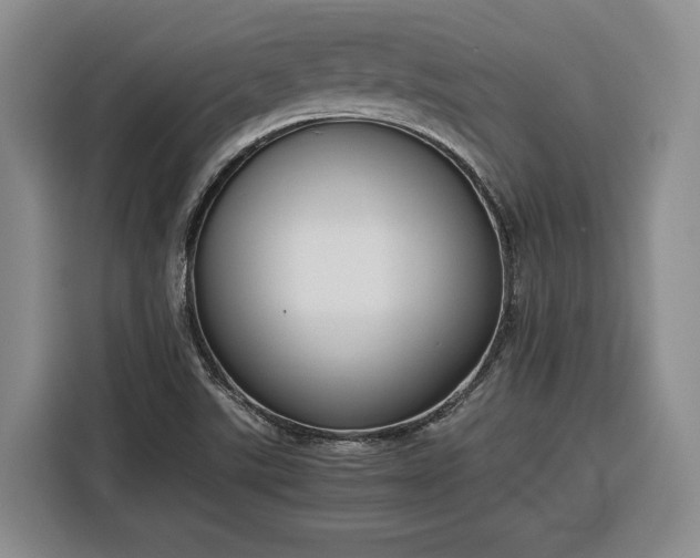 X0000116351507200912091119