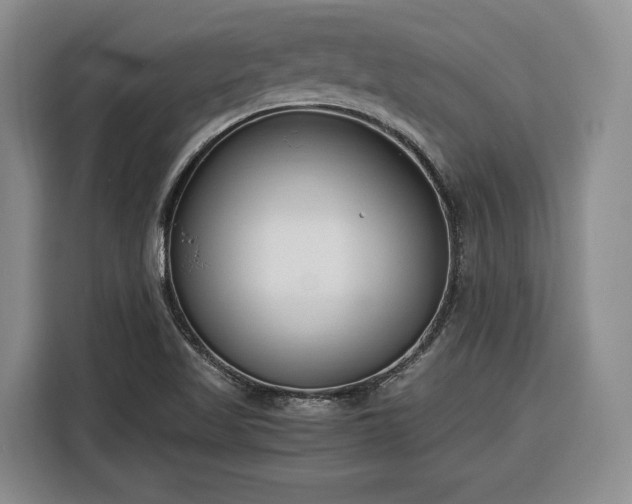 X0000116351509200912091119