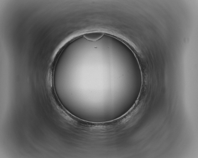 X0000116351510200912091119