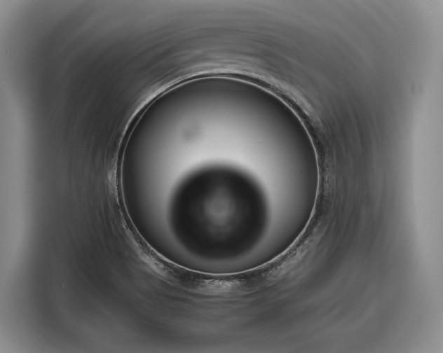 X0000116351513200912091119