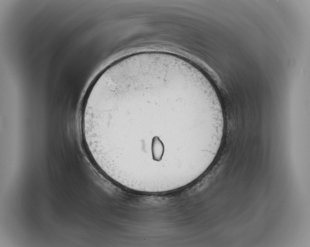 X0000116351514200912091119