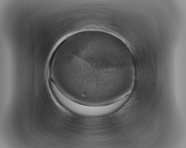 X0000116351515200912091119