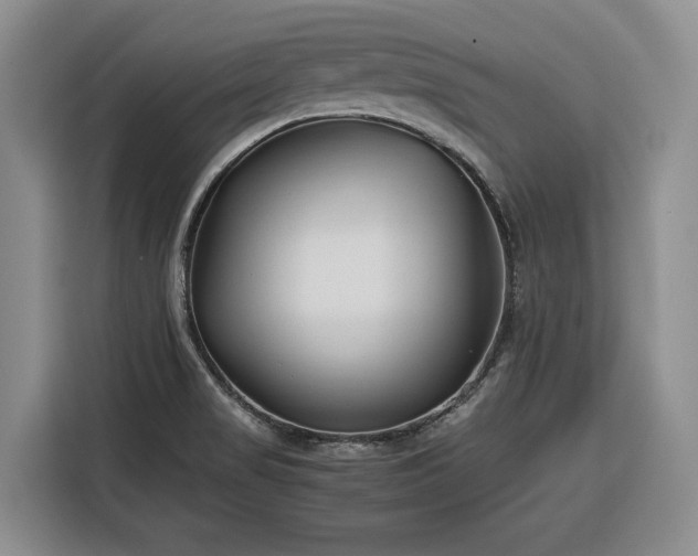 X0000116351517200912091119