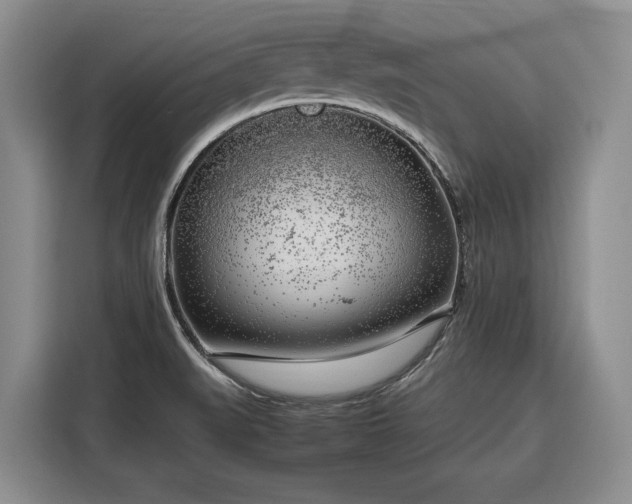 X0000116351519200912091119