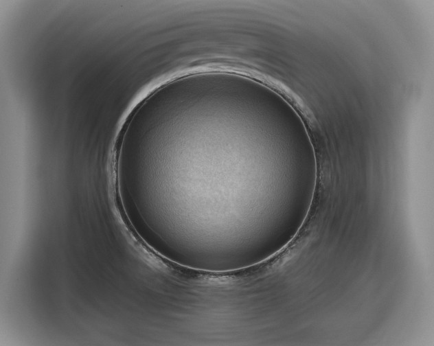 X0000116351522200912091119